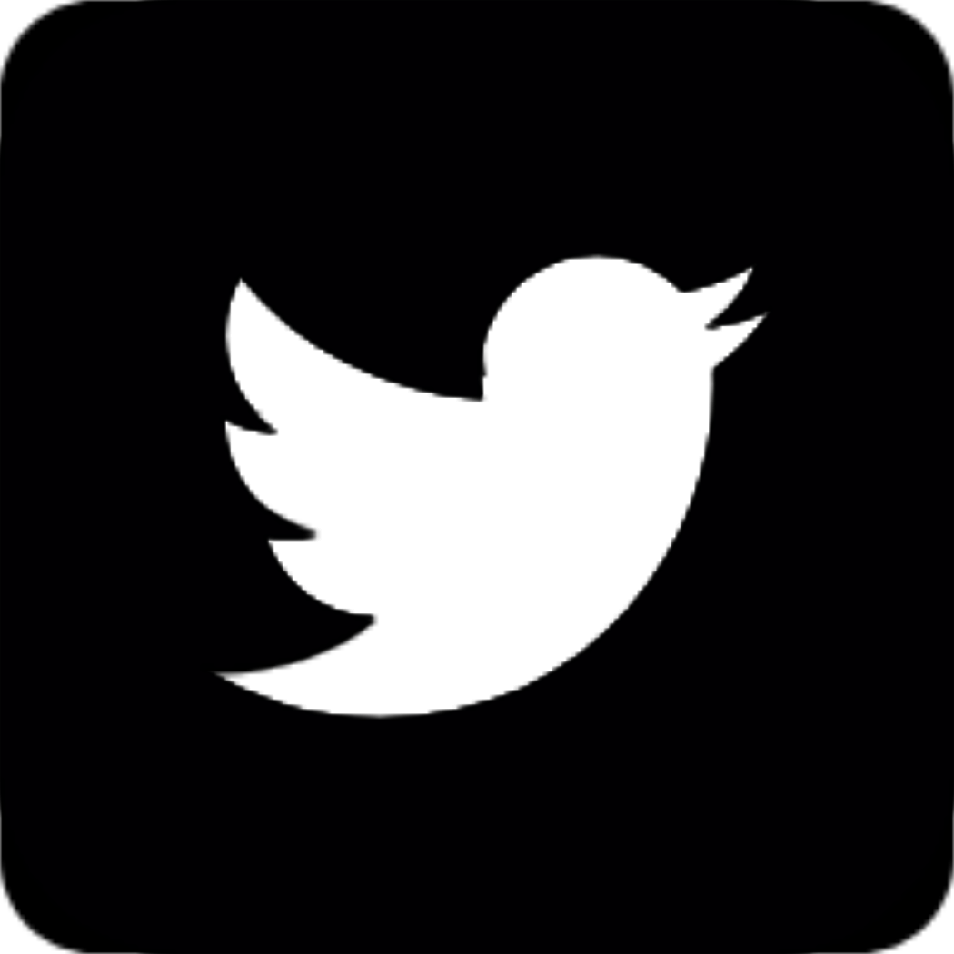 twitter logo